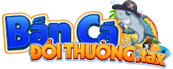 8c8band.com