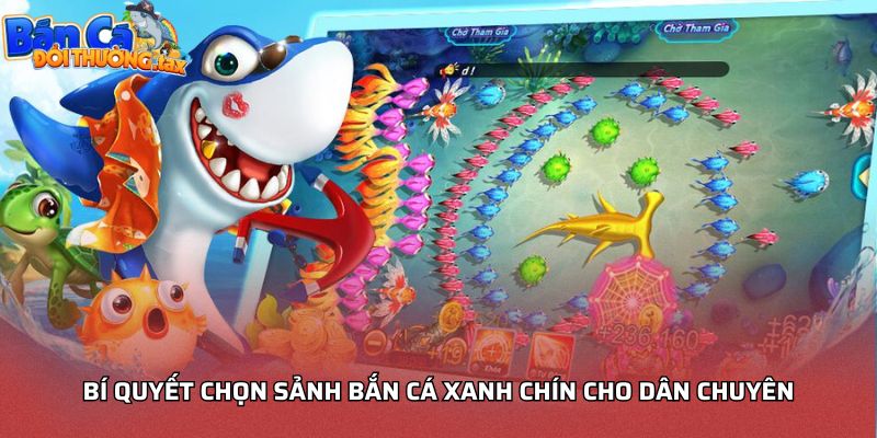 Bí quyết chọn sảnh bắn cá xanh chín cho dân chuyên