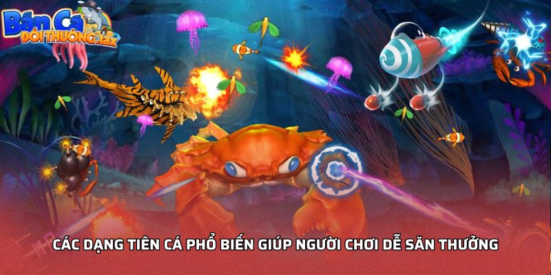 Các dạng Tiên cá phổ biến giúp người chơi dễ săn thưởng