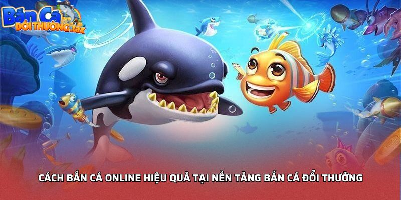Cách bắn cá online hiệu quả